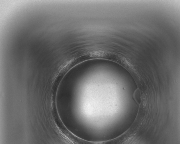 X0000059810637200510281706