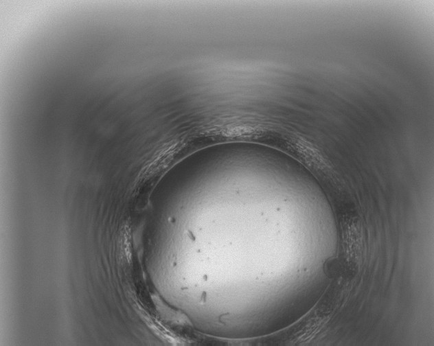 X0000059810644200510281706