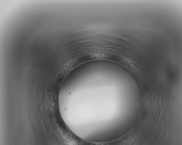 X0000059810645200510281706