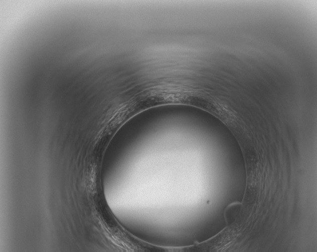 X0000059810646200510281706