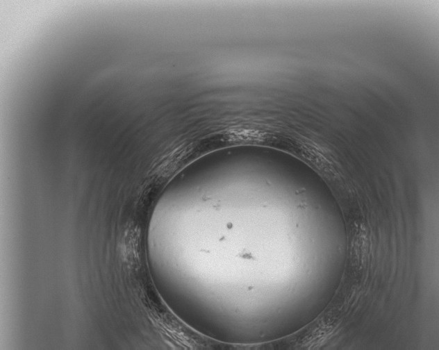 X0000059810649200510281706