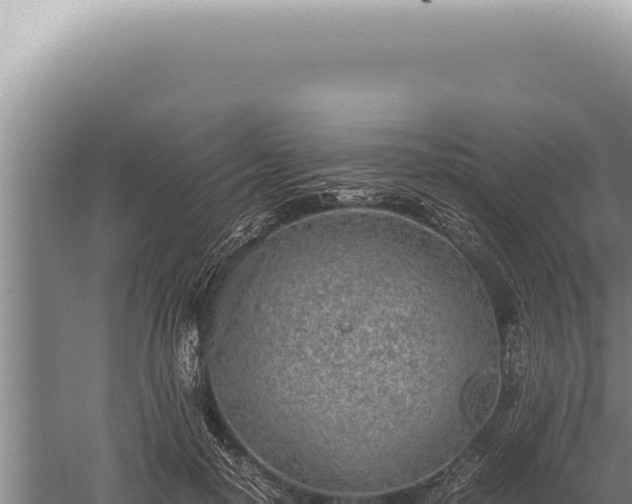 X0000059810650200510281706