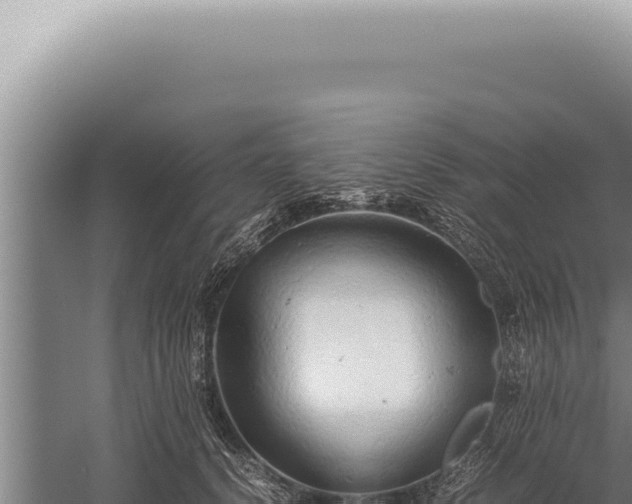 X0000059810656200510281706