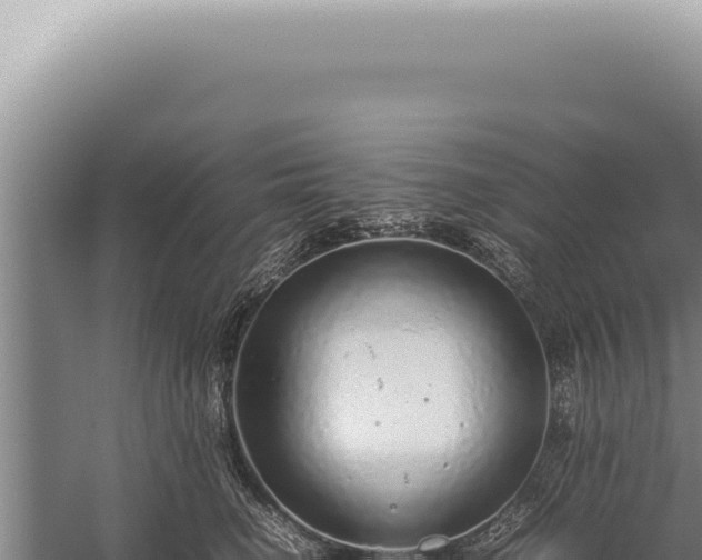 X0000059810662200510281707