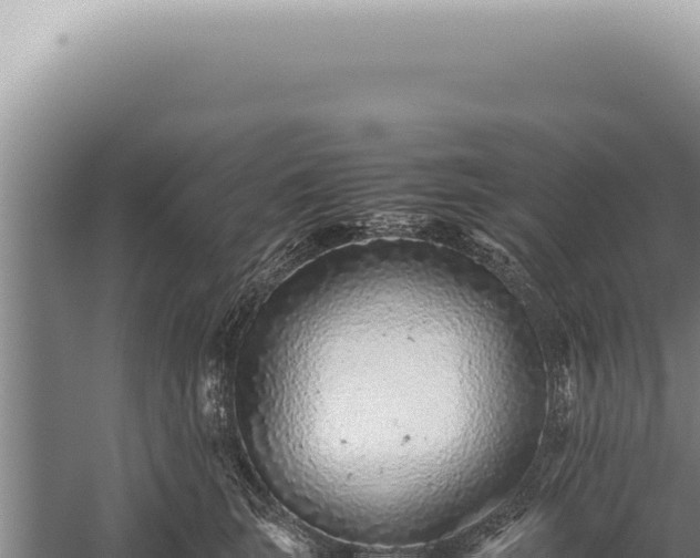 X0000059810663200510281707