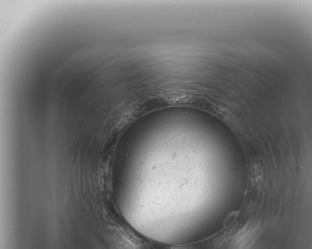 X0000059810664200510281707