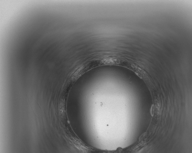 X0000059810665200510281707