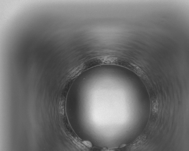 X0000059810666200510281707