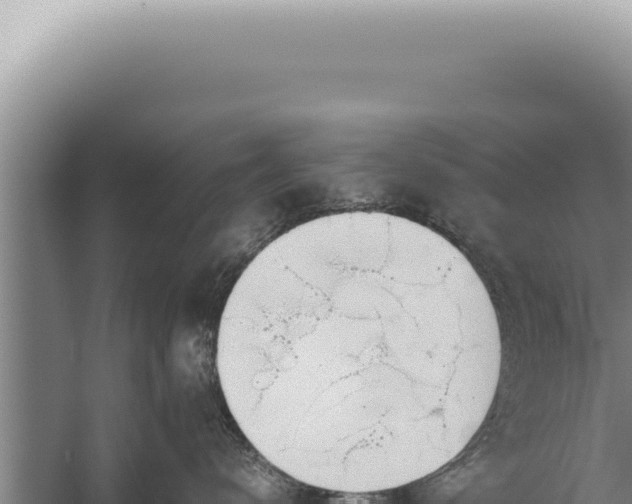 X0000059810672200510281707