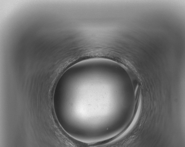 X0000059810673200510281706