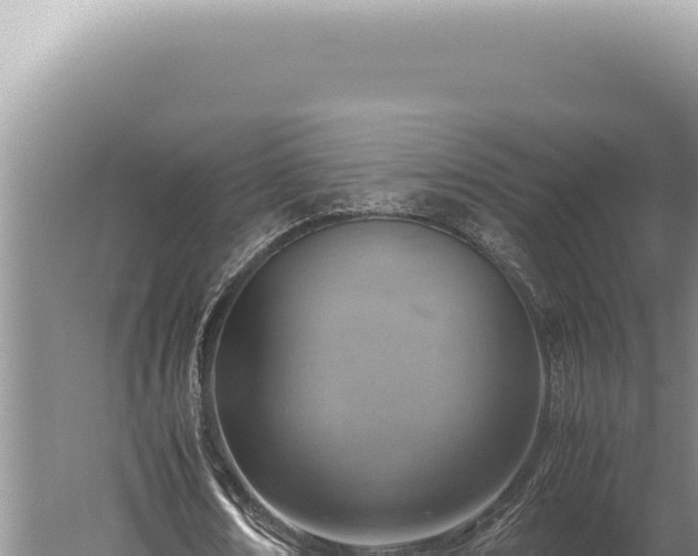 X0000059810674200510281706