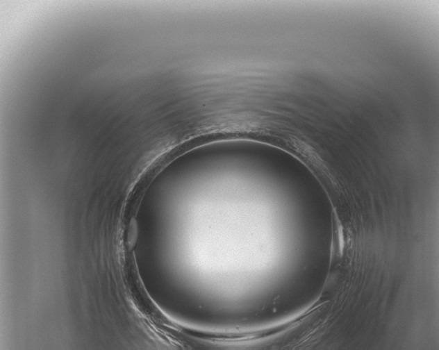 X0000059810676200510281706