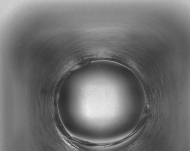 X0000059810677200510281706