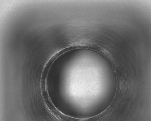 X0000059810680200510281706