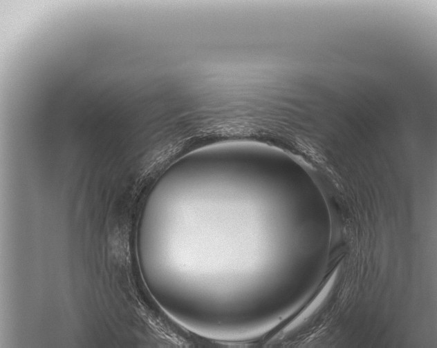 X0000059810681200510281706