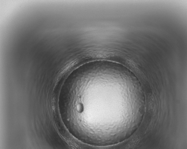 X0000059810683200510281706