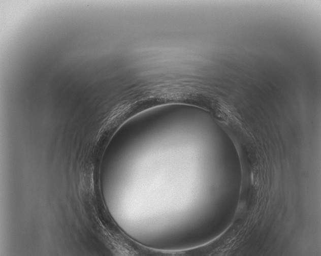 X0000059810685200510281706