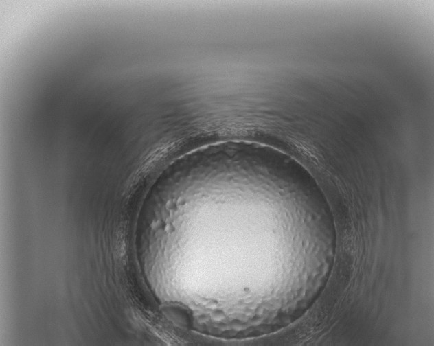 X0000059810687200510281706