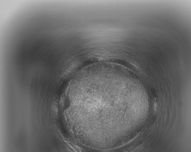 X0000059810691200510281706