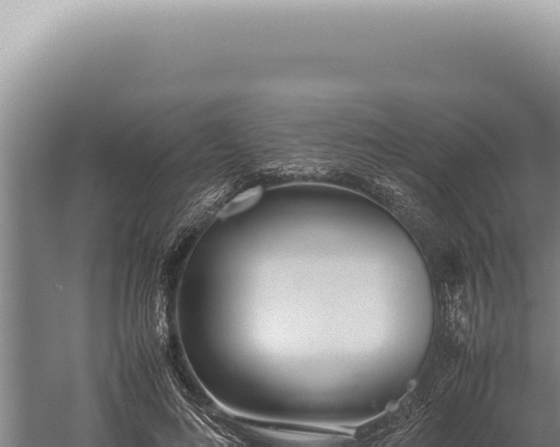 X0000059810692200510281706