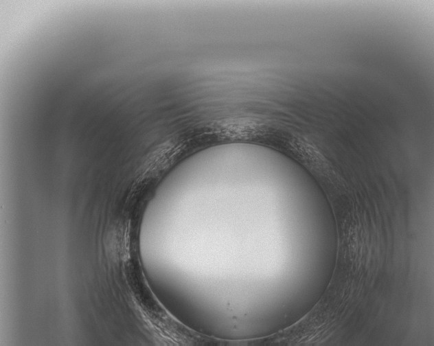 X0000059810694200510281706