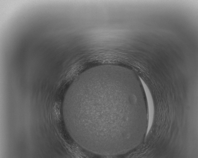 X0000059810695200510281706