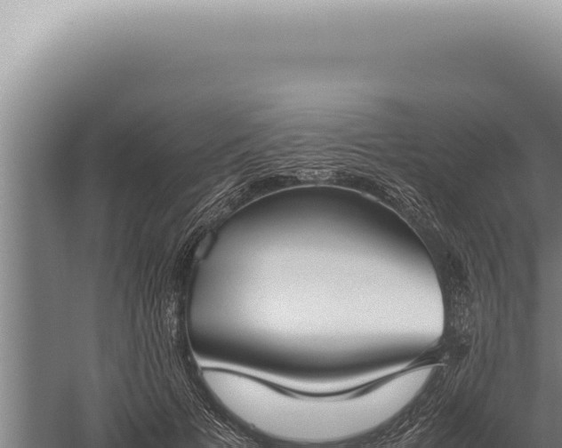 X0000059810697200510281705