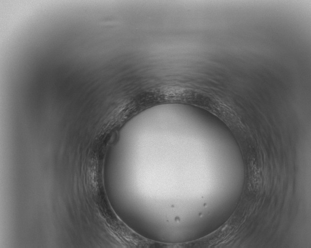 X0000059810698200510281705