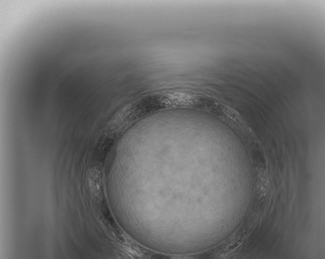 X0000059810701200510281705