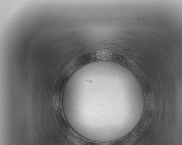 X0000059810705200510281705