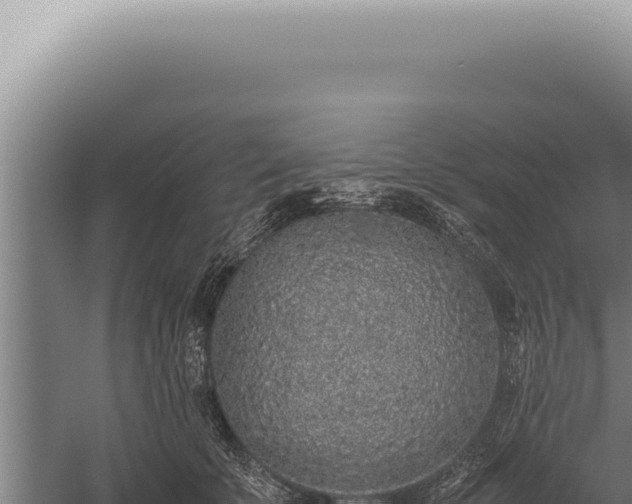 X0000059810707200510281705