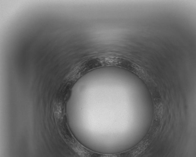 X0000059810709200510281705