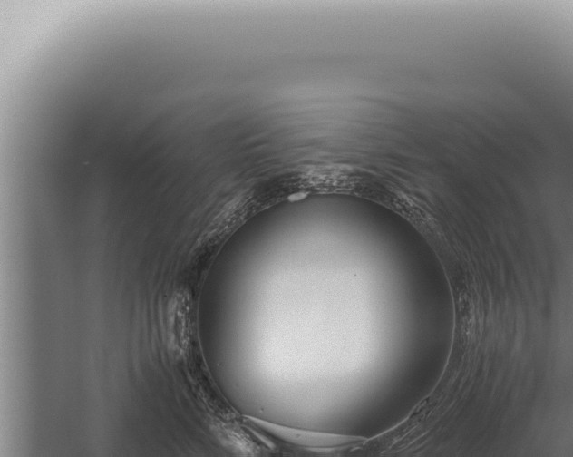 X0000059810712200510281705