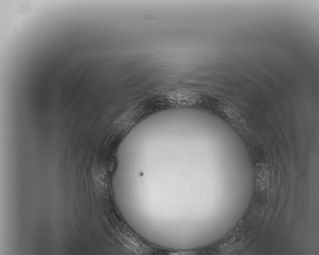 X0000059810713200510281705