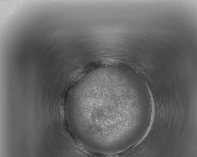 X0000059810716200510281705