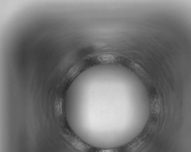 X0000059810717200510281705