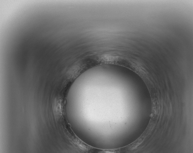 X0000059810718200510281705