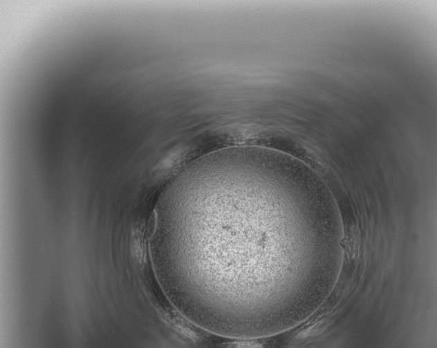 X0000059810719200510281705