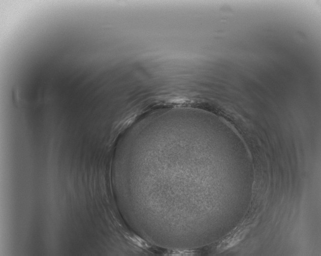 X0000059810720200510281705