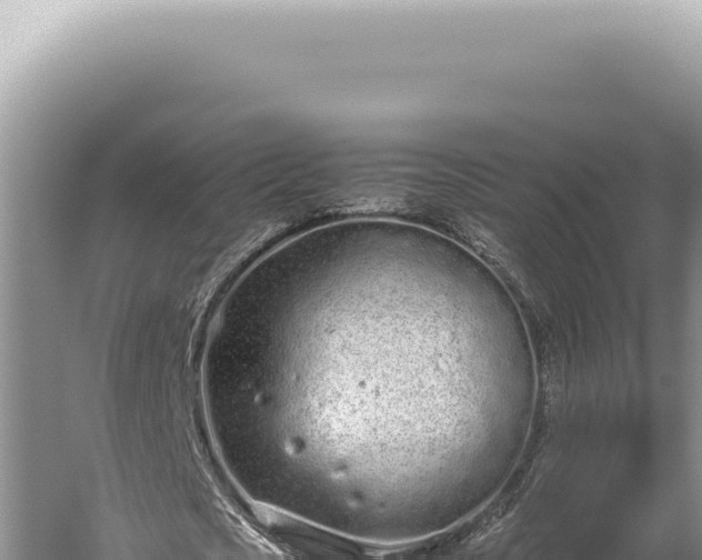 X0000059810721200510281704