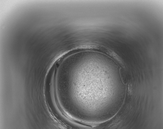 X0000059810724200510281704