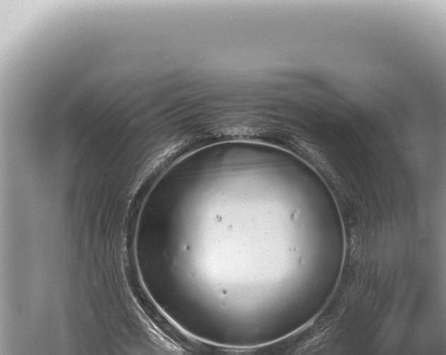 X0000059810725200510281704