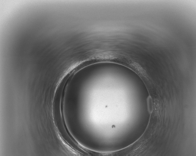 X0000059810726200510281704