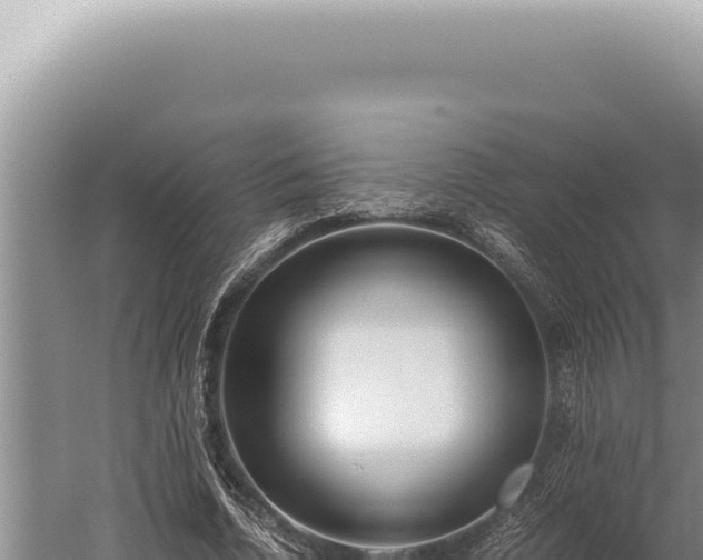 X0000059810730200510281704