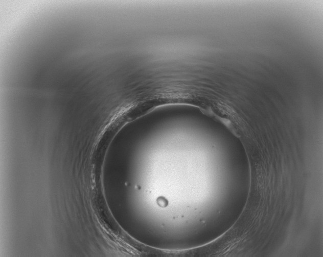 X0000059810731200510281704