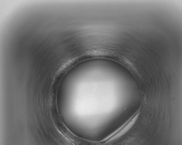 X0000059810732200510281704