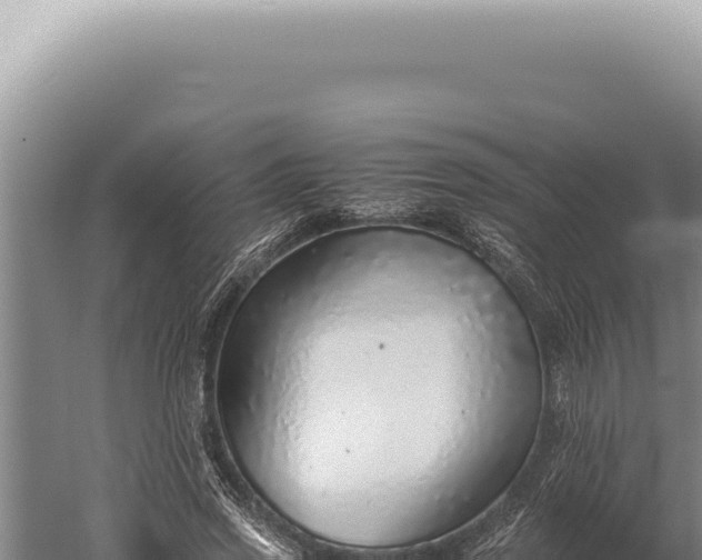 X0000059810733200510281704