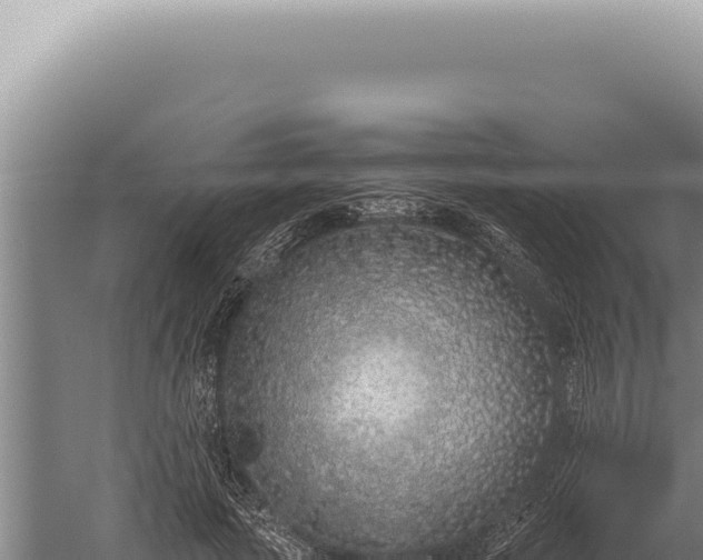 X0000059810737200510281705