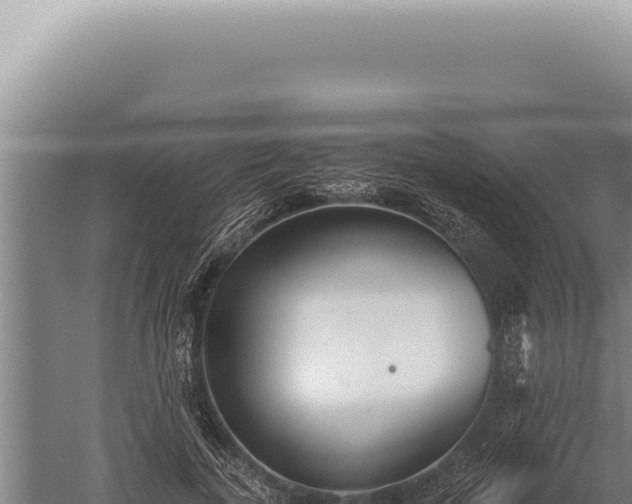 X0000059810739200510281705