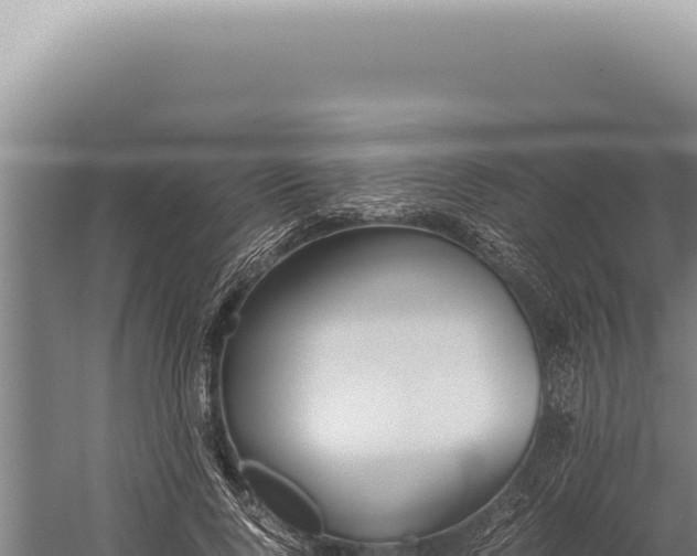 X0000059810740200510281705